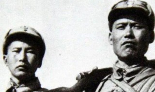 葛振林故事简介 葛振林故事介绍