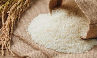 关于大米的走心文案 描写大米的走心文案