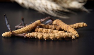 虫草煲汤做法大全 虫草汤的烹饪方法