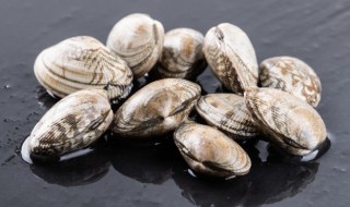 花甲豆腐汤的做法 花甲豆腐汤的烹饪方法