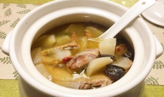 炖鸭汤的做法 炖鸭汤的制作方法
