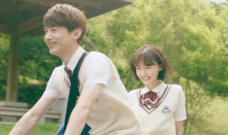 夏至未至有什么含义 夏至未至的意思