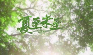 夏至未至片头曲是什么 夏至未至片头曲歌词