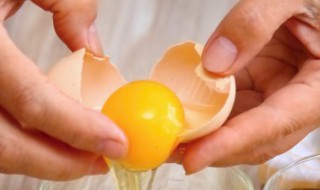 宝宝吃鹌鹑蛋好还是鸡蛋好 关于宝宝吃鹌鹑蛋好还是鸡蛋好的问题