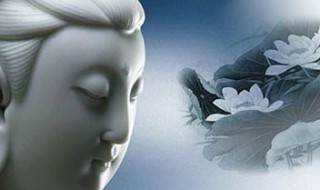 性空山歌词什么意思 性空山的主要思想