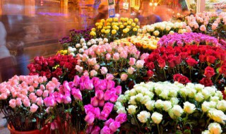 高铁可以带鲜花上去吗 高铁可不可以带鲜花上去