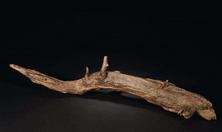 沉香木的介绍 沉香木是什么