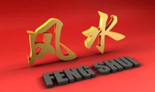 鹦哥鱼的风水学应用 关于鹦哥鱼的风水介绍