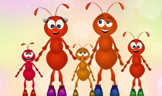 家里有大水蚁怎么处理 怎么处理家里大水蚁