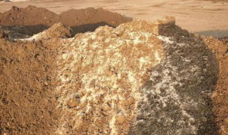 羊粪如何自然发酵 羊粪自然发酵的原因