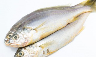 蒸鱼一般几分钟 蒸鱼一般蒸熟的时间