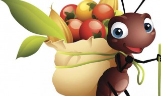 家里出现会飞的蚂蚁怎么办 怎样处理家里出现会飞的蚂蚁