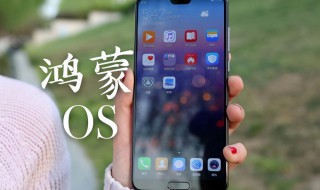 华为p10手机如何升级鸿蒙系统 可升级鸿蒙系统机型操作流程介绍