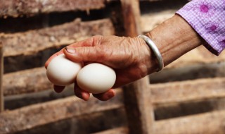 梦见捡鸭蛋是什么意思 梦见捡鸭蛋意思是什么