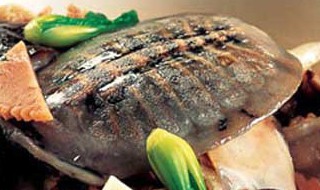 野生甲鱼汤的做法 野生甲鱼汤做法步骤