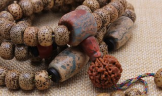 如何清洗菩提子 菩提子清洗方法