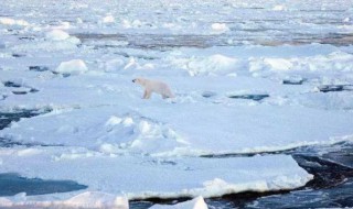 北极暖季几月 北极暖季是什么时候