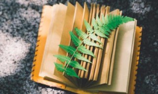 左中右结构的字有哪些 左中右结构的字有什么