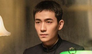 叛逆者电视剧 叛逆者电视剧主演有谁