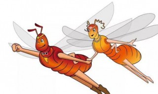 白蚁下雨天到处飞怎么解决 白蚁下雨天到处飞的解决方法