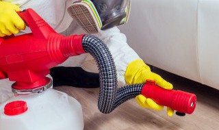 厨房很多小飞虫怎么办 厨房很多小飞虫该怎么办