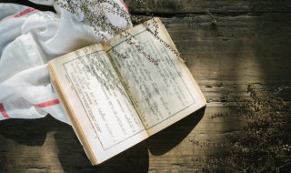 八个字的成语有哪些 八个字的成语精选