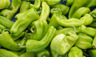 青椒洋葱炒鸡蛋 青椒洋葱炒鸡蛋的烹饪方法