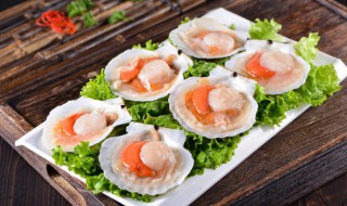 扇贝汤的做法 怎么做扇贝汤