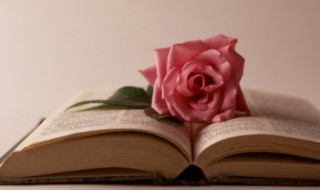 新文化运动的性质 新文化运动的性质是什么