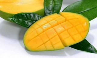 大青芒软了好吃还是硬点好吃 大青芒怎样好吃