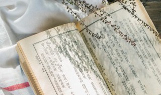 骆驼祥子人物简介概括 骆驼祥子的人物简介