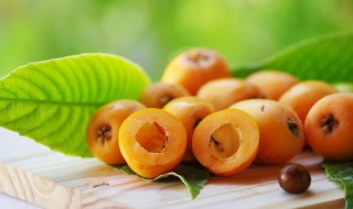 枇杷为什么不能多吃 枇杷不能多吃的原因