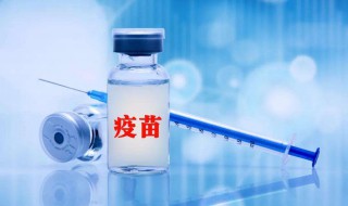 打了新冠疫苗不能吃什么东西 打了新冠疫苗不能吃哪些东西