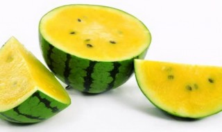 黄的西瓜能不能吃 黄的西瓜是否可以吃