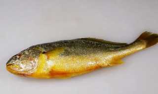 黄花鱼嘌呤含量高吗 黄花鱼嘌呤是否含量高