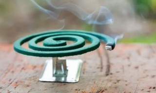 蟑螂蚊香对人危害大吗 蟑螂蚊香是否对人的危害大