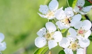 打春躺床上 打春躺床上好吗