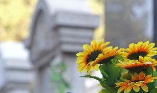 迁坟后能去别人家吗 迁坟后可以去别人家吗