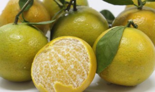 皇帝柑哪些人不能吃 不适宜吃皇帝柑人群介绍