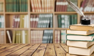 巴黎圣母院每章概括 巴黎圣母院每章概括一至四章