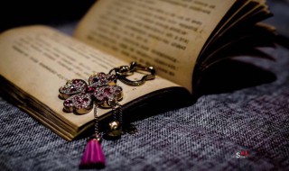 谭延闿怎么读 谭延闿个人资料介绍