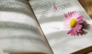 岊怎么读 怎么读岊