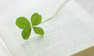 旻怎么读音 怎么读音旻