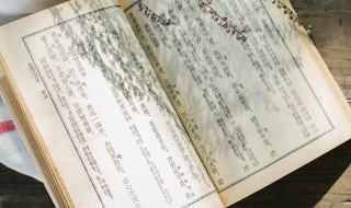 迖怎么读 怎么读迖