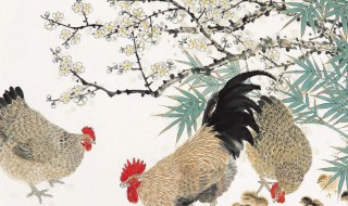 司晨报晓勤不懈是什么生肖 司晨报晓勤不懈的生肖