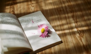 京畿道怎么读 京畿道的含义