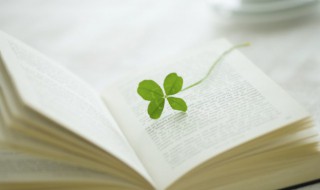 倪瓒怎么读音 倪瓒的介绍