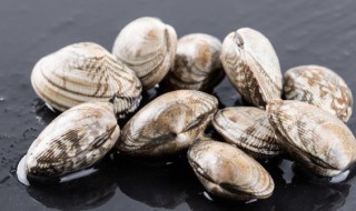 蛤蜊可以冷冻吗 蛤蜊能不能冷冻
