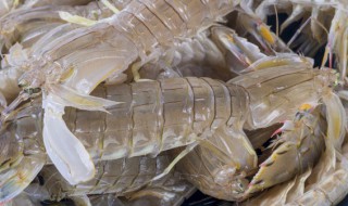 皮皮虾能放冰箱保存吗 皮皮虾能不能放冰箱保存