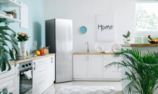 冰箱保鲜小技巧 冰箱保鲜小技巧都有哪些